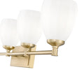 Z-LITE, OREN VANITY, VANITY LIGHT
