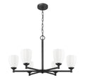 Z-LITE, OREN CHANDELIER, CHANDELIER LIGHT