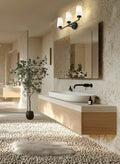 Z-LITE, MONTFORD VANITY, VANITY LIGHT