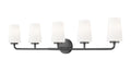 Z-LITE, MONTFORD VANITY, VANITY LIGHT