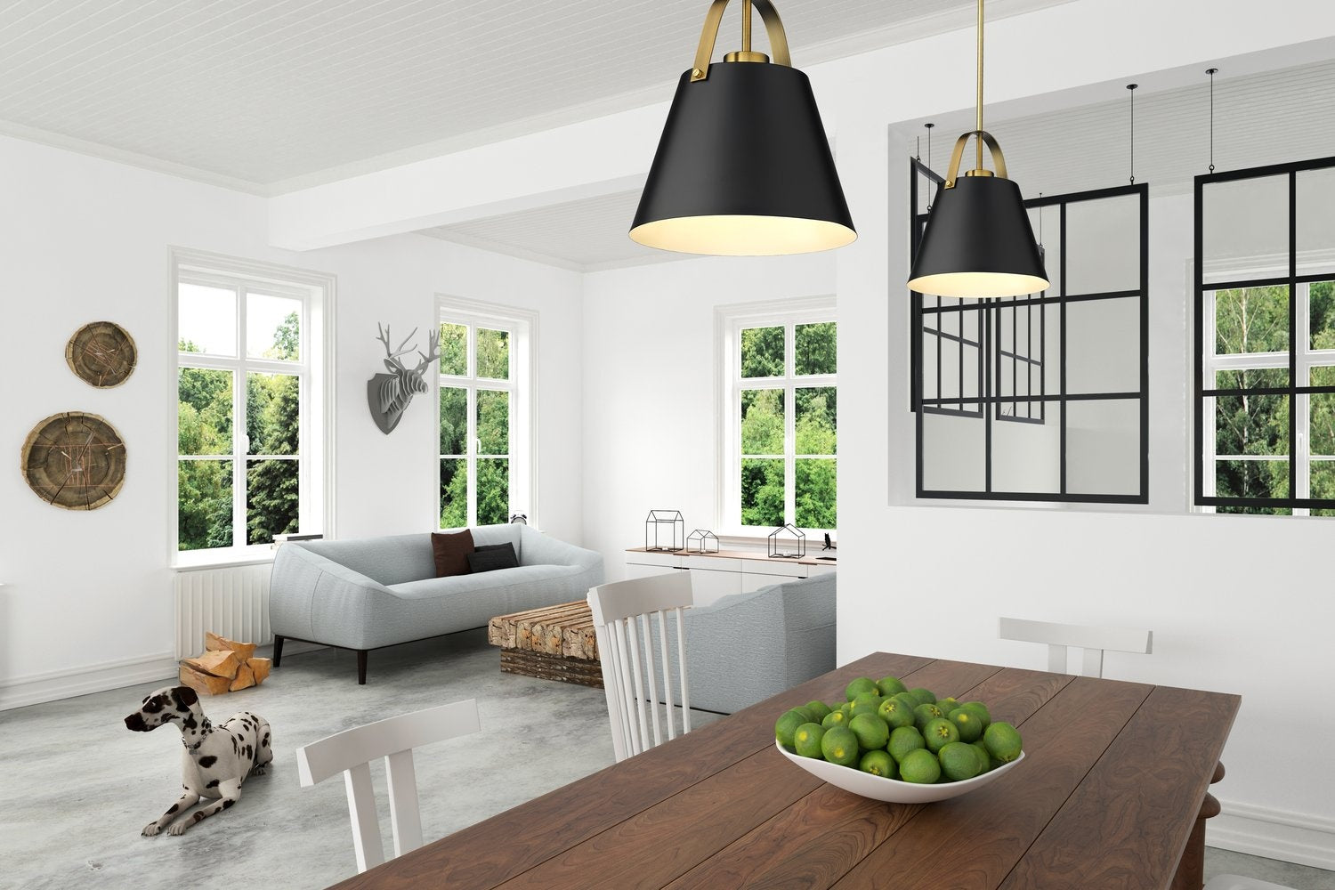 Z-LITE, Z-STUDIO PENDANT, PENDANT LIGHT