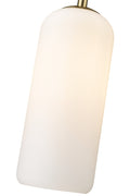 Z-LITE, MONTY PENDANT, PENDANT LIGHT