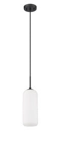 Z-LITE, MONTY PENDANT, PENDANT LIGHT