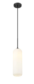 Z-LITE, MONTY PENDANT, PENDANT LIGHT