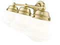 Z-LITE, VAUGHN VANITY, VANITY LIGHT