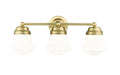 Z-LITE, VAUGHN VANITY, VANITY LIGHT