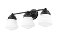 Z-LITE, VAUGHN VANITY, VANITY LIGHT