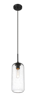 Z-LITE, MONTY PENDANT, PENDANT LIGHT