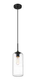 Z-LITE, MONTY PENDANT, PENDANT LIGHT