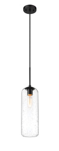 Z-LITE, MONTY PENDANT, PENDANT LIGHT