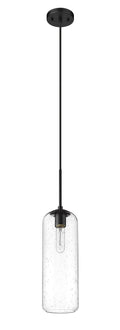 Z-LITE, MONTY PENDANT, PENDANT LIGHT