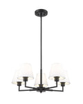 Z-LITE, LEILA CHANDELIER, CHANDELIER LIGHT