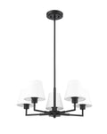 Z-LITE, LEILA CHANDELIER, CHANDELIER LIGHT