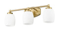 Z-LITE, KENDRICK VANITY, VANITY LIGHT
