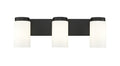 Z-LITE, BURK VANITY, VANITY LIGHT