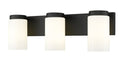 Z-LITE, BURK VANITY, VANITY LIGHT