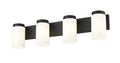 Z-LITE, BURK VANITY, VANITY LIGHT