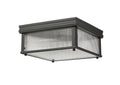 Z-LITE, CARNABY FLUSH MOUNT, FLUSH MOUNT CEILING LIGHTS