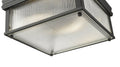 Z-LITE, CARNABY FLUSH MOUNT, FLUSH MOUNT CEILING LIGHTS