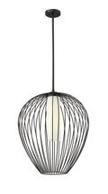 Z-LITE, SAVANTI PENDANT, PENDANT LIGHT