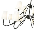 Z-LITE, GIANNA CHANDELIER, CHANDELIER LIGHT