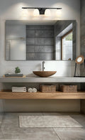 Z-LITE, NAYA VANITY, VANITY LIGHT