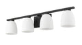 Z-LITE, NAYA VANITY, VANITY LIGHT