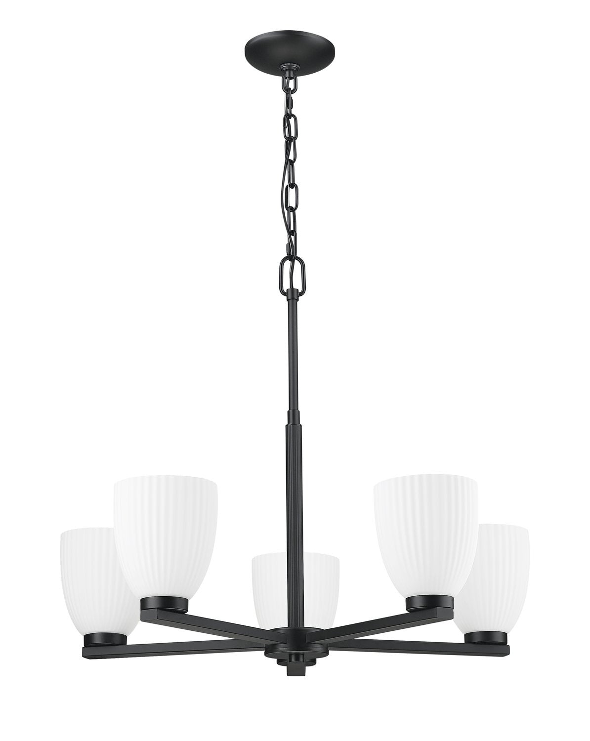Z-LITE, NAYA CHANDELIER, CHANDELIER LIGHT