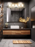 Z-LITE, NAYA VANITY, VANITY LIGHT