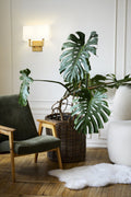 Z-LITE, SAXON WALL SCONCE, WALL SCONCES