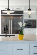 Z-LITE, PALOMA PENDANT, PENDANT LIGHT