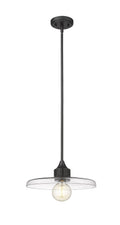 Z-LITE, PALOMA PENDANT, PENDANT LIGHT