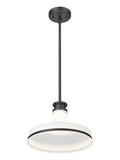 Z-LITE, REZNOR PENDANT, PENDANT LIGHT