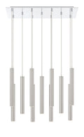 Z-LITE, FOREST CHANDELIER, CHANDELIER LIGHT