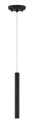 Z-LITE, FOREST PENDANT, PENDANT LIGHT