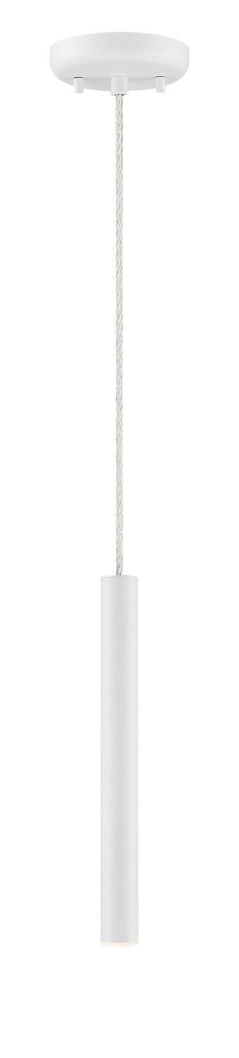 Z-LITE, FOREST PENDANT, PENDANT LIGHT