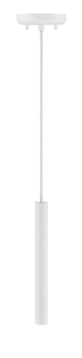 Z-LITE, FOREST PENDANT, PENDANT LIGHT