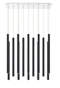 Z-LITE, FOREST CHANDELIER, CHANDELIER LIGHT