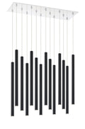 Z-LITE, FOREST CHANDELIER, CHANDELIER LIGHT
