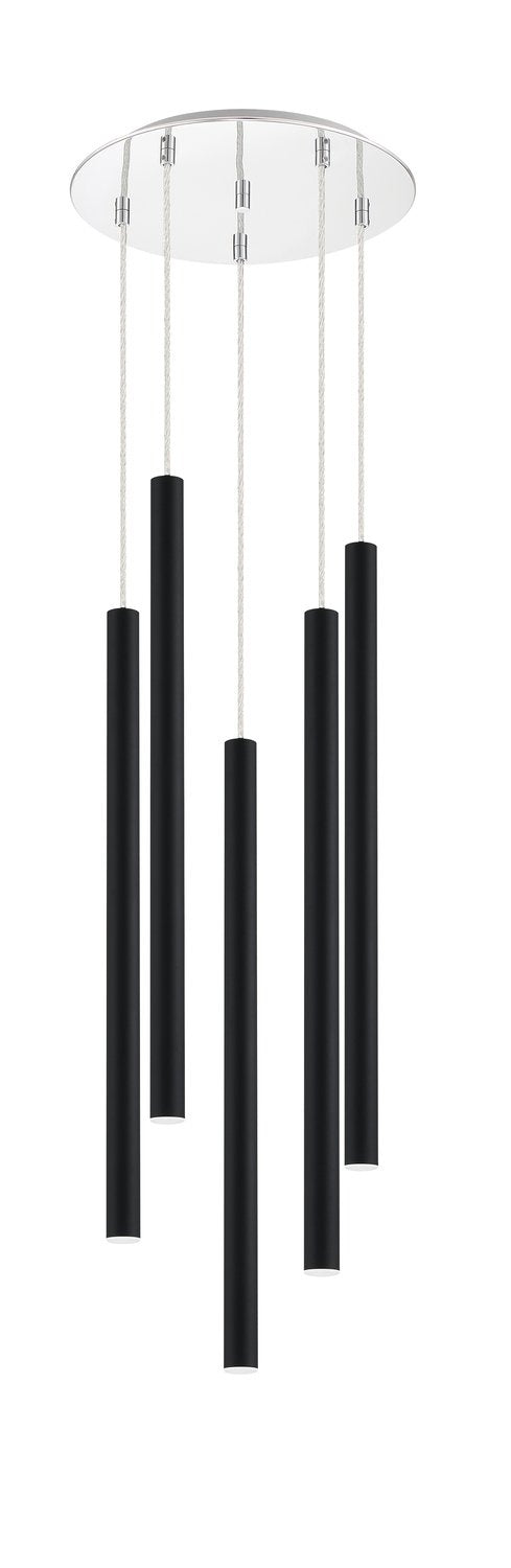 Z-LITE, FOREST CHANDELIER, CHANDELIER LIGHT