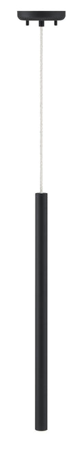 Z-LITE, FOREST PENDANT - 917MP24, PENDANT LIGHT