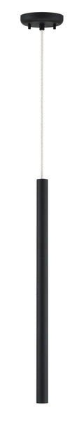 Z-LITE, FOREST PENDANT - 917MP24, PENDANT LIGHT