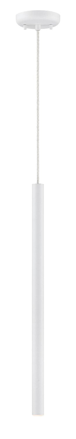 Z-LITE, FOREST PENDANT - 917MP24, PENDANT LIGHT