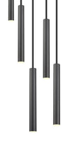 Z-LITE, FOREST CHANDELIER, CHANDELIER LIGHT