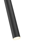Z-LITE, FOREST PENDANT, PENDANT LIGHT