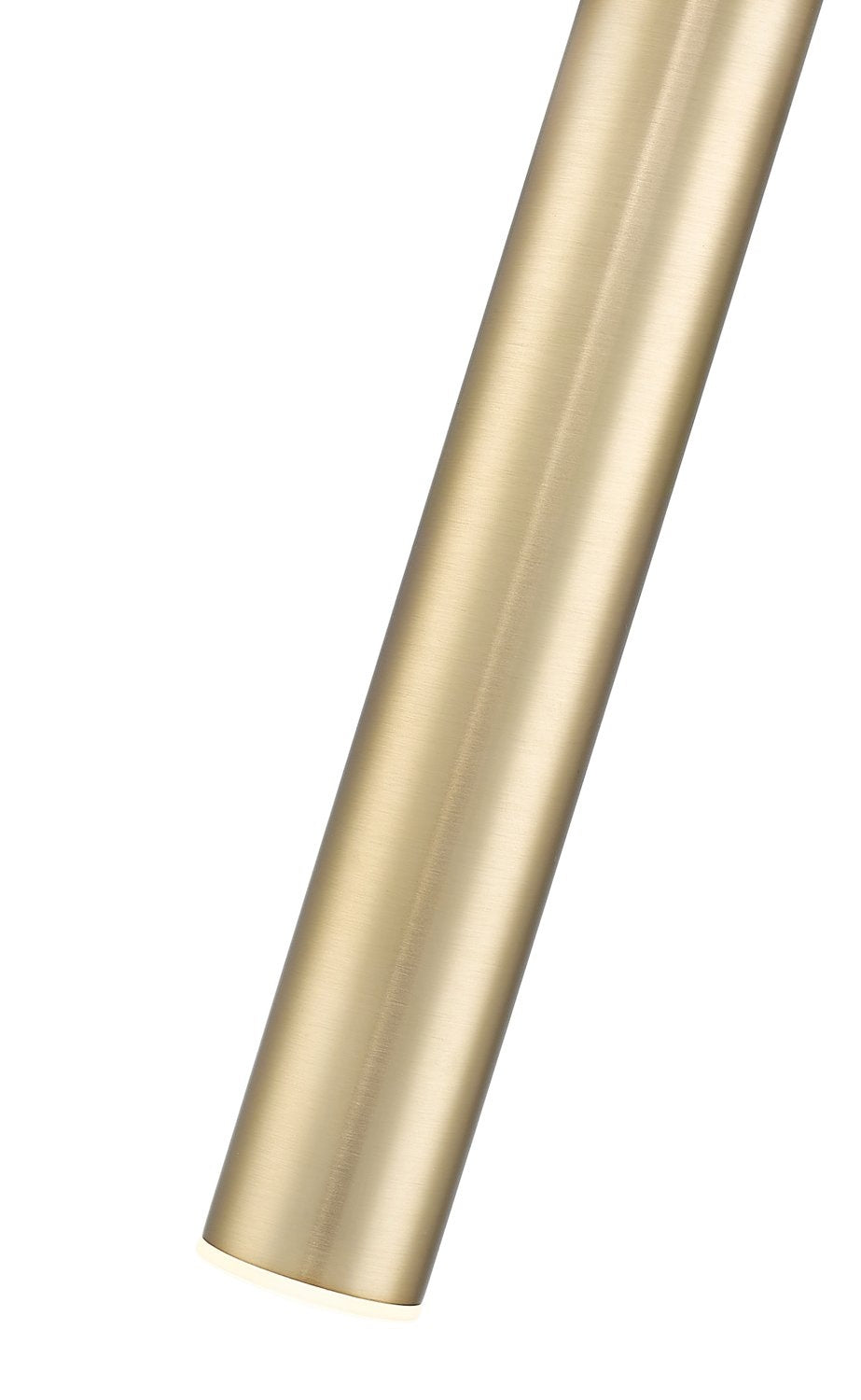 Z-LITE, FOREST PENDANT - 919MP12, PENDANT LIGHT