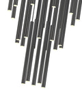 Z-LITE, FOREST CHANDELIER, CHANDELIER LIGHT