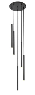 Z-LITE, FOREST CHANDELIER, CHANDELIER LIGHT