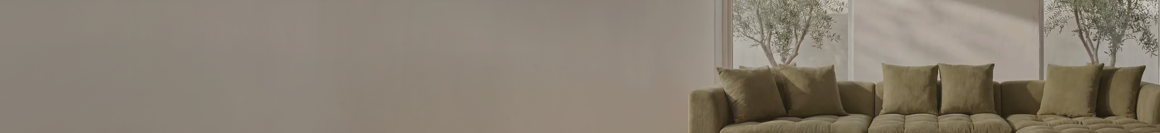 collection-banner-image