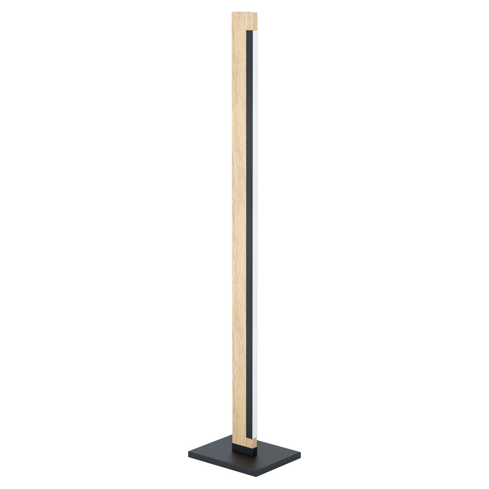 Camacho LED Floor Lamp